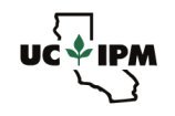 logo_ucipm